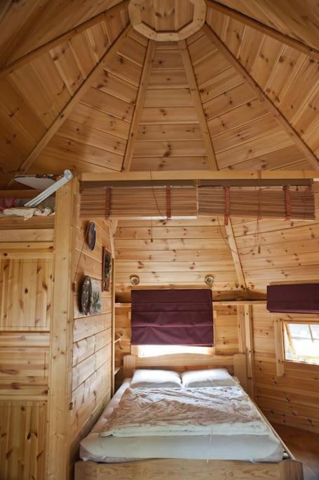 Le Bois Davy Hotel Le Thoureil Eksteriør billede