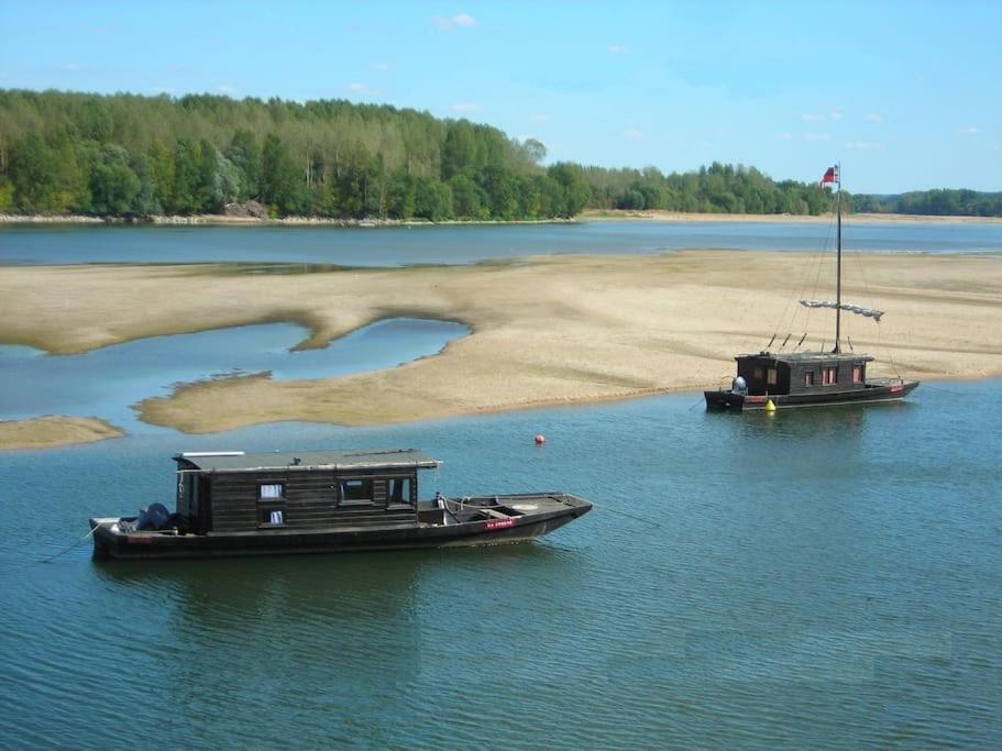 Le Bois Davy Hotel Le Thoureil Eksteriør billede
