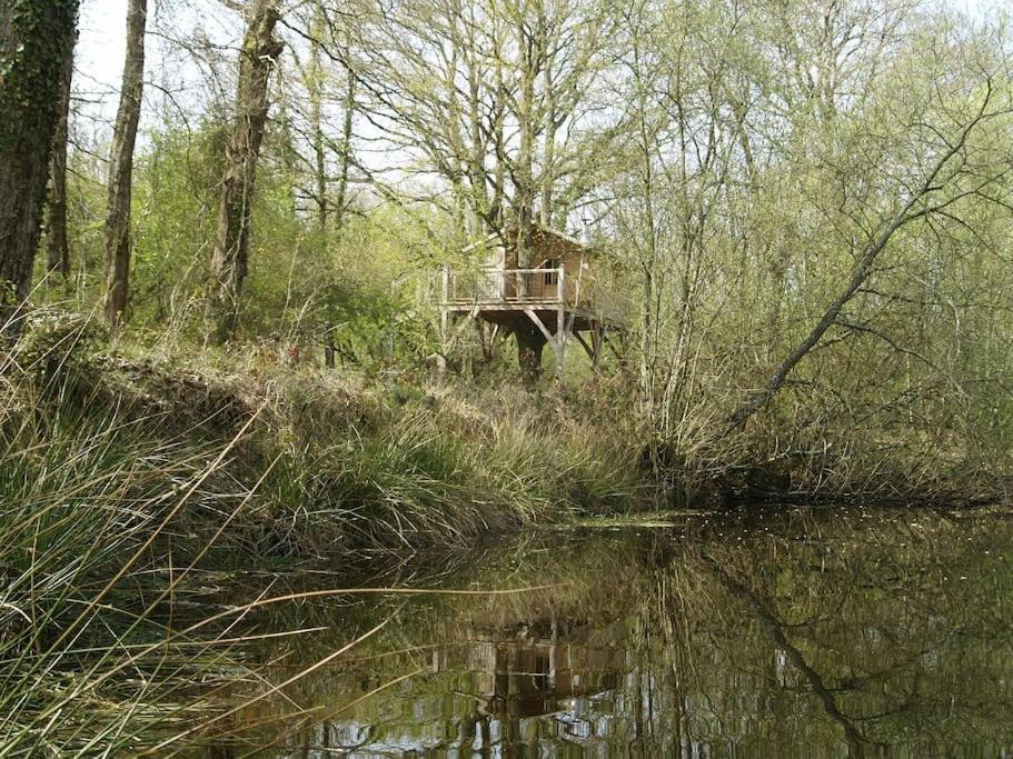 Le Bois Davy Hotel Le Thoureil Eksteriør billede