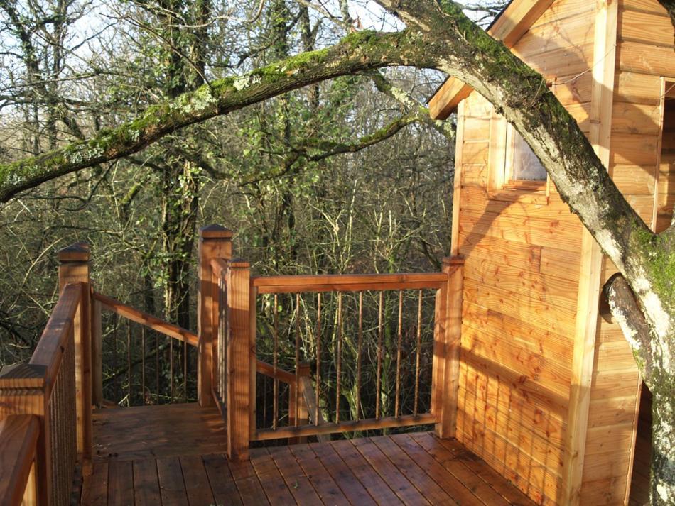 Le Bois Davy Hotel Le Thoureil Eksteriør billede